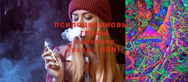 тгк Пересвет