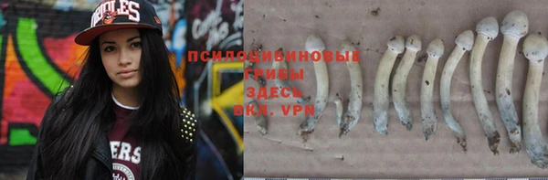марки lsd Осинники