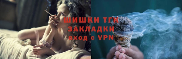 СК Гатчина