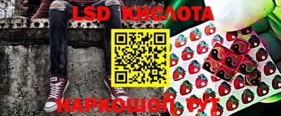 стаф Донской