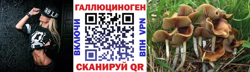 блэк спрут вход  Лянтор  Псилоцибиновые грибы мухоморы  как найти закладки 