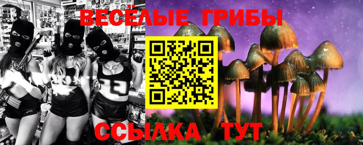 Псилоцибиновые грибы MAGIC MUSHROOMS  Галлюциногенные грибы Psilocybe  Лянтор  Вход с VPN 